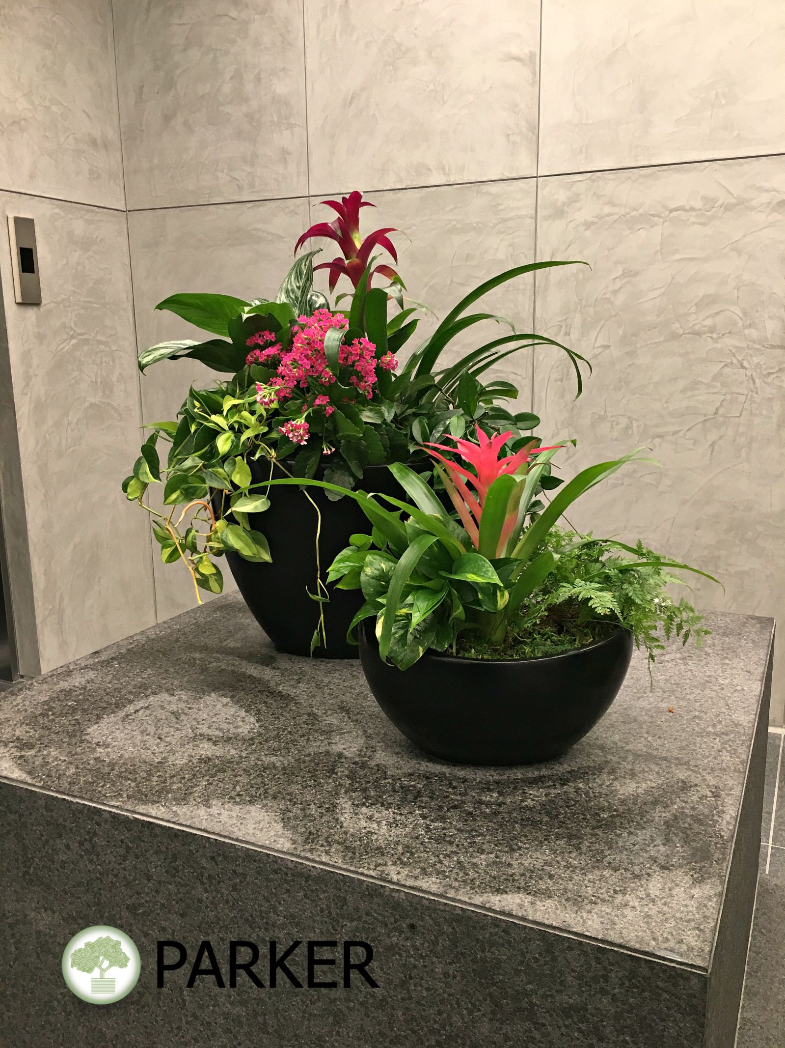 Home - Parker Plants & Holiday