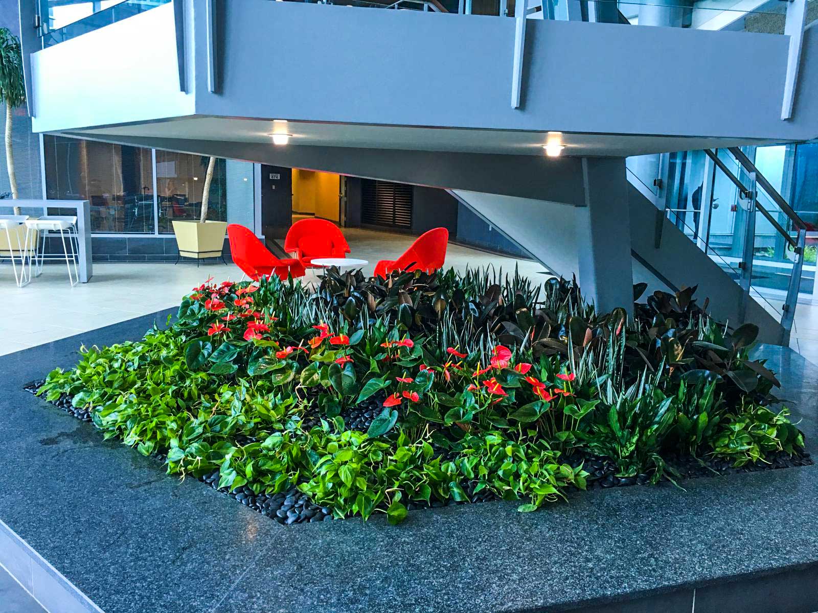 Interior - Parker Plants & Holiday