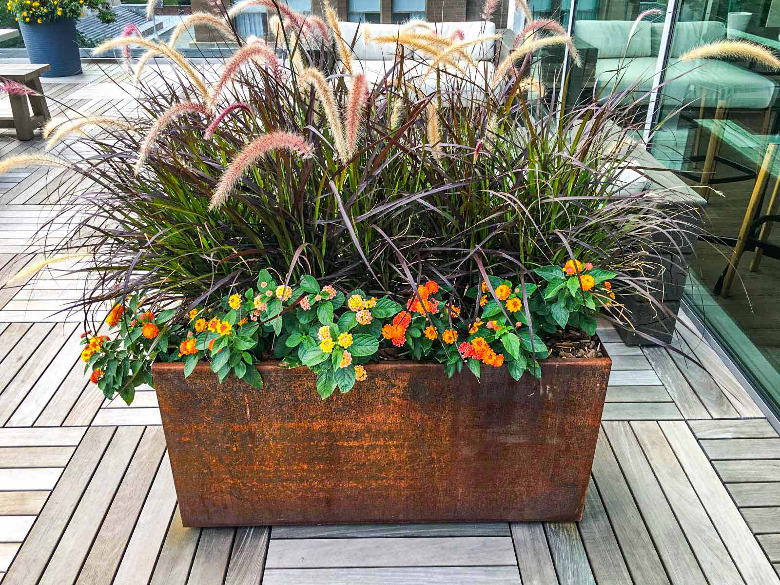 Home - Parker Plants & Holiday
