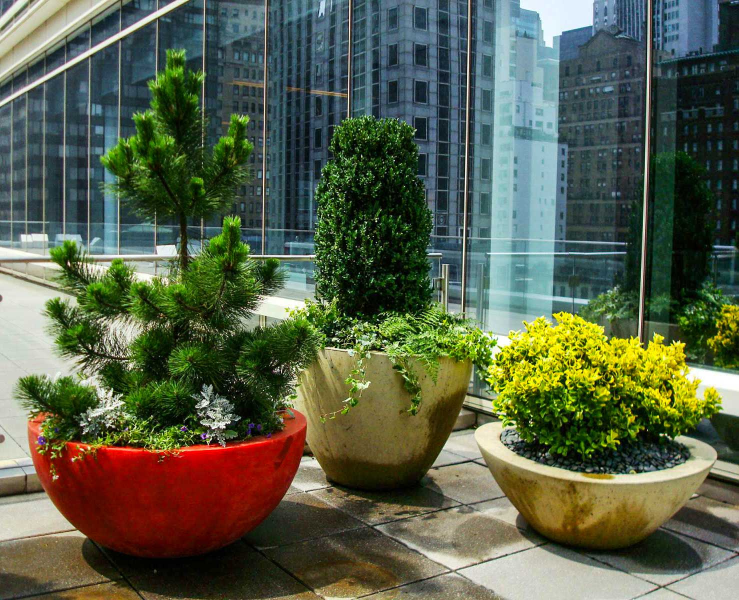 Exterior Parker Plants & Holiday