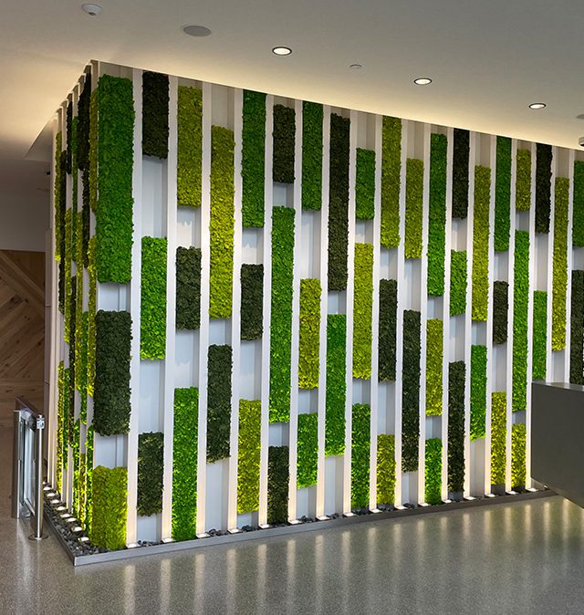 Green Walls  Lets Talk Science