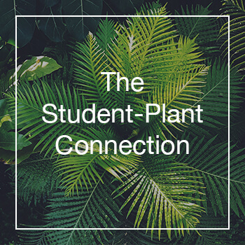 Student-Plant-Connection-graphic