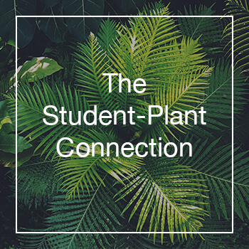 Student-Plant-Connection-graphic