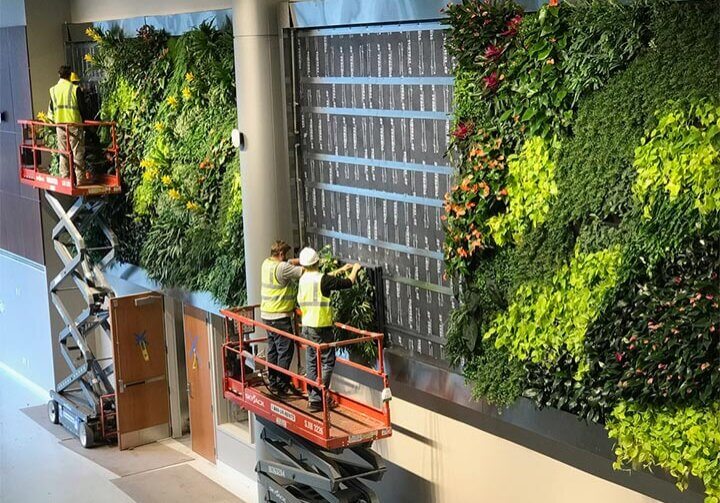 parker_green_wall_installation_delaware