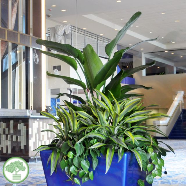 Contact Parker Plants & Holiday